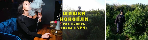 соль ск Арсеньев