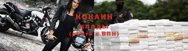 соль ск Арсеньев