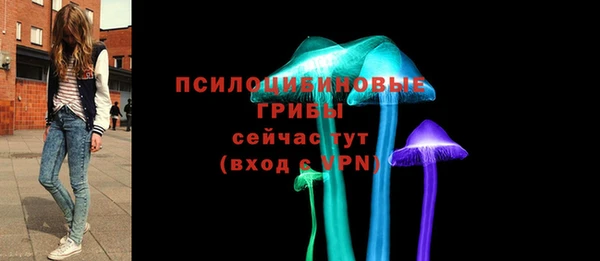 СК Армянск