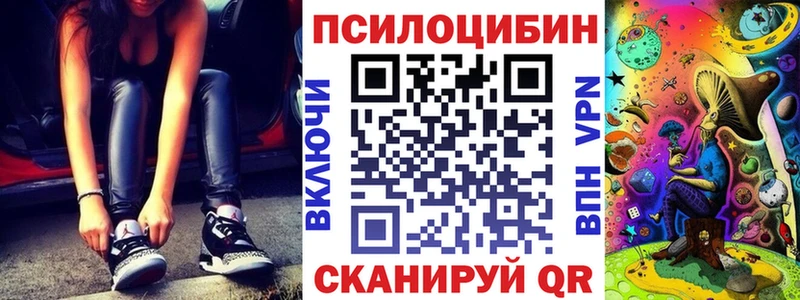 Псилоцибиновые грибы Psilocybine cubensis Пучеж