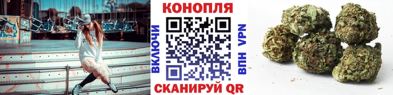 где можно купить Пучеж Каннабис SATIVA & INDICA